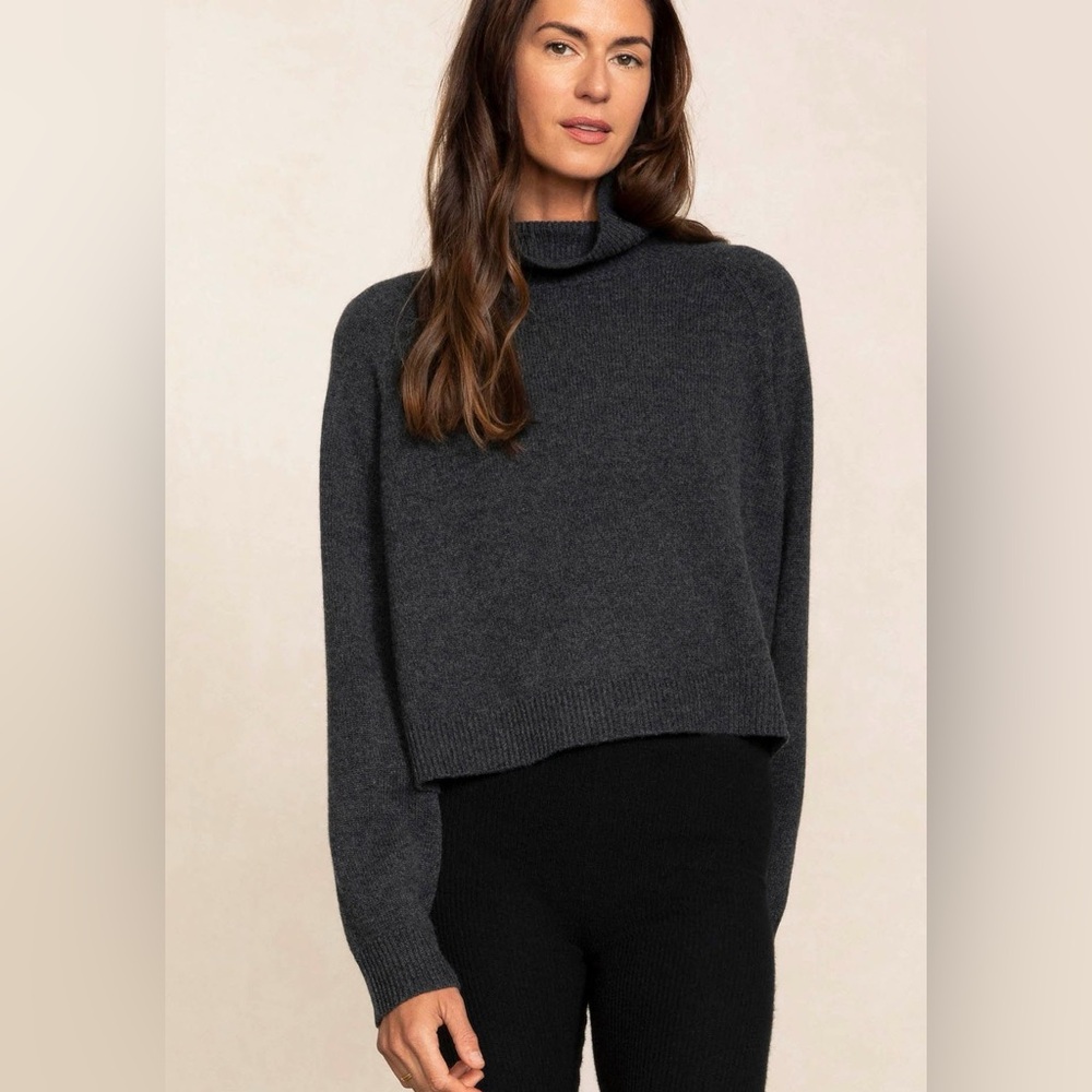Naked Cashmere Noelle Turtleneck 100% Cashmere Sweater in Charcoal